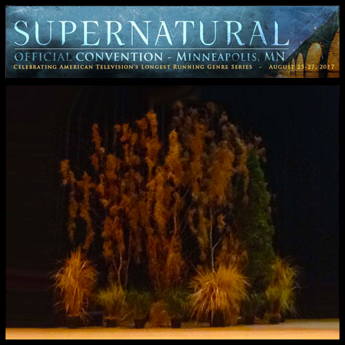 Supernatural Official Convention - Idea Gallery - rent an artificial woods